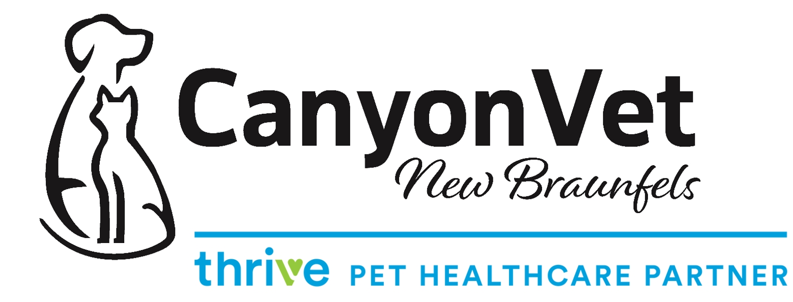 Canyon Vet New Braunfels