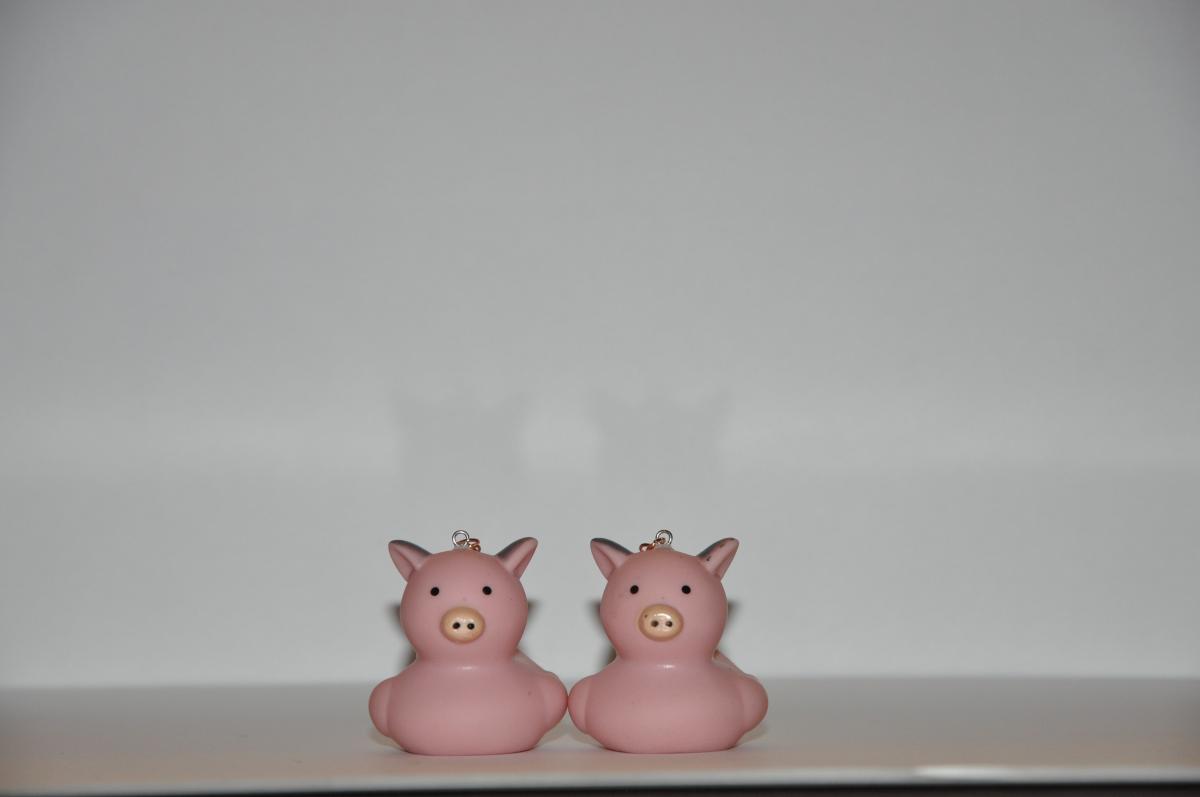 Rubber Animal Earrings picture