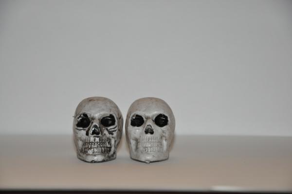 Skull Earrings picture