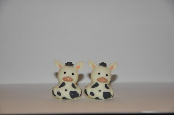 Rubber Animal Earrings picture
