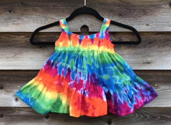 Size 12 Months Rainbow Strata Girl's Gauzy Garden Dress picture