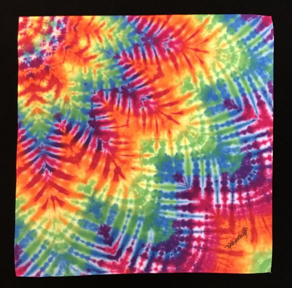 Rainbow Fan Bandana picture