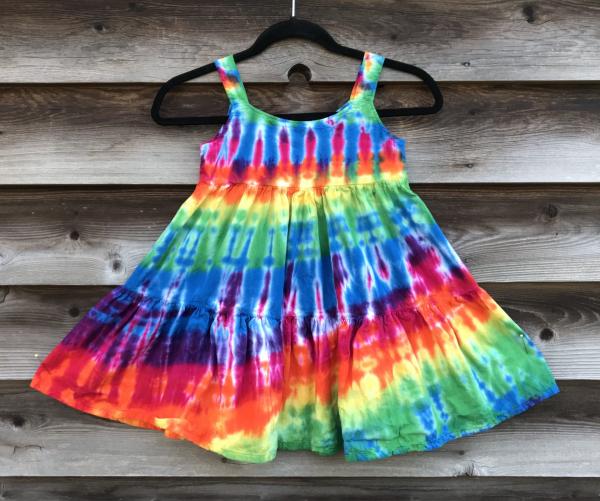 Size 6 Rainbow Strata Girl's Gauzy Garden Dress picture
