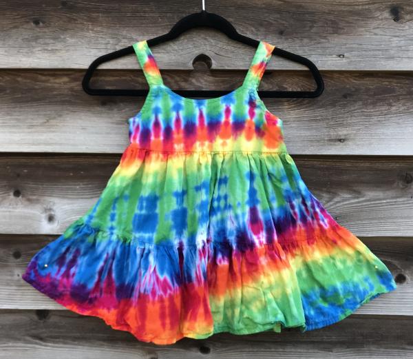 Size 4 Rainbow Strata Girl's Gauzy Garden Dress picture