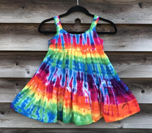 Size 6 Rainbow Strata Girl's Gauzy Garden Dress picture