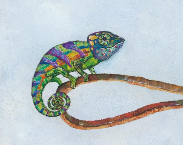 Jack and Chameleon picture