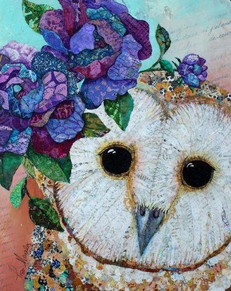 Barm Owl Reproduction picture