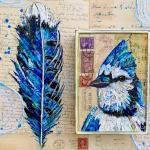 Blue Jay