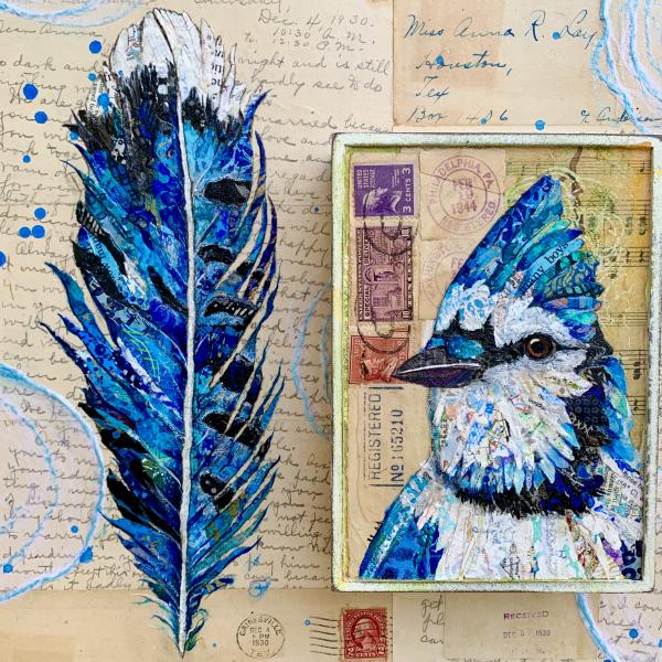 Blue Jay picture