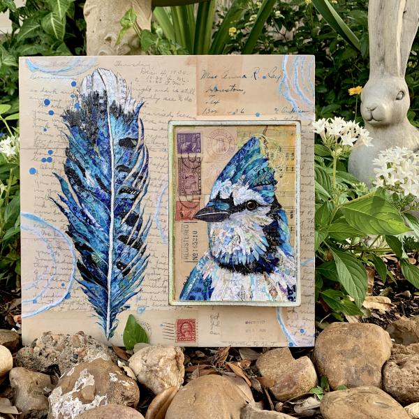 Blue Jay picture