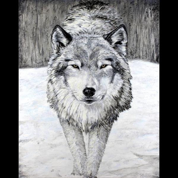 Gray Wolf picture