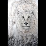 White Lion