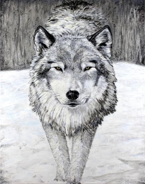 Gray Wolf picture