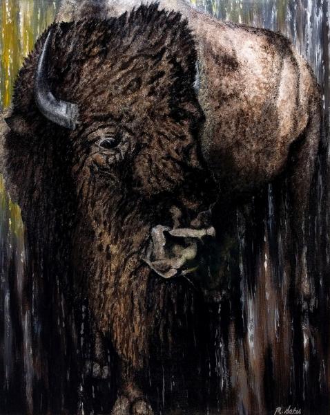 605 Bison picture