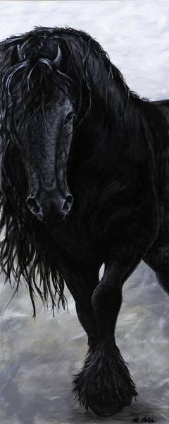 Friesian picture