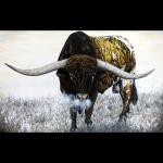 Longhorn