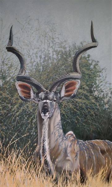 KUDU picture