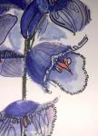 Carol Bloomgarden Micrography