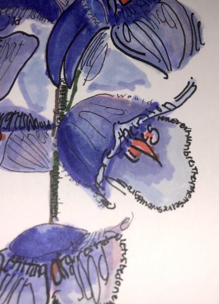 Carol Bloomgarden Micrography