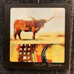 Longhorn on Metal (4x4)