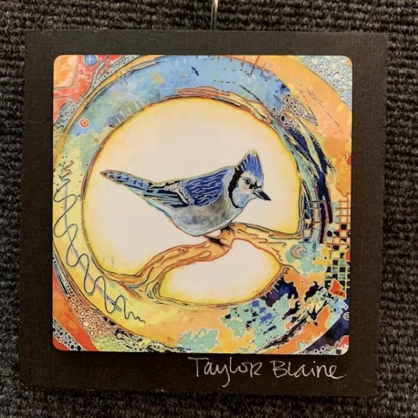 Summer Bluejay on Metal (4x4)