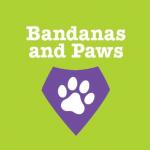 Bandanas and Paws