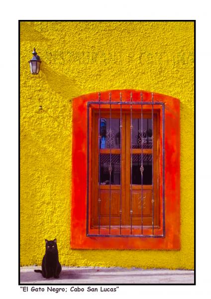 "El Gato Negro" picture