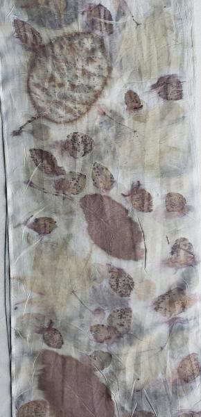 EcoBotantical Print Silk Scarf #001 picture