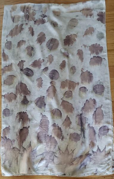 EcoBotanical Silk Shawl #005 picture