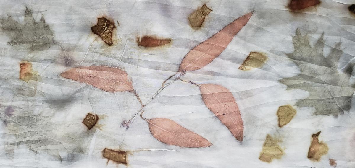 EcoBotanical Silk Scarf #020 picture