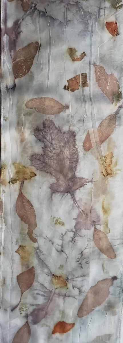 EcoBotanical Silk Scarf #013 picture