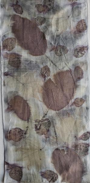 EcoBotantical Print Silk Scarf #001 picture