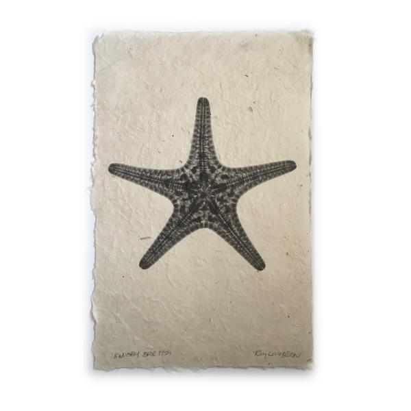 Knobby Starfish X-ray- Unframed Print