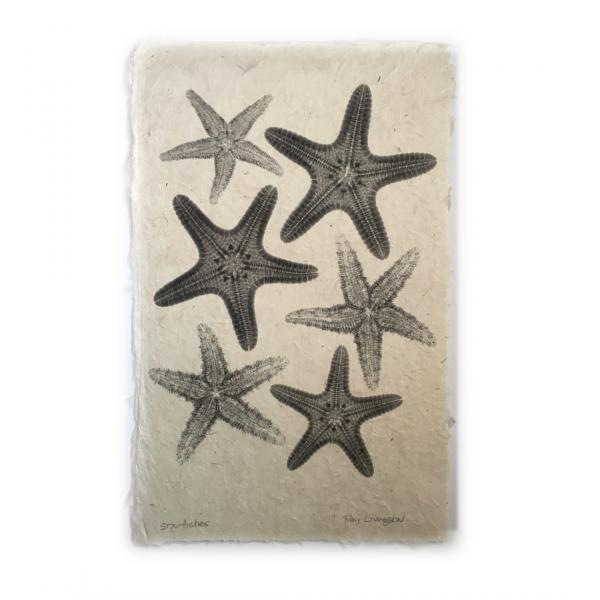 Starfish X-ray Art - Unframed Print