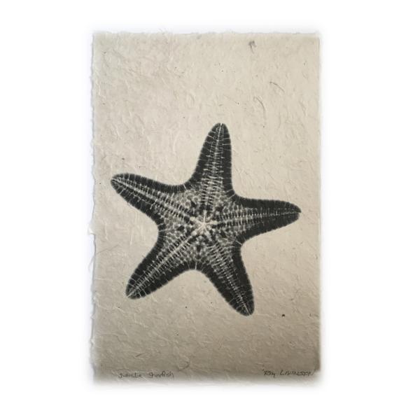 Jungle Starfish X-ray - Unframed Print