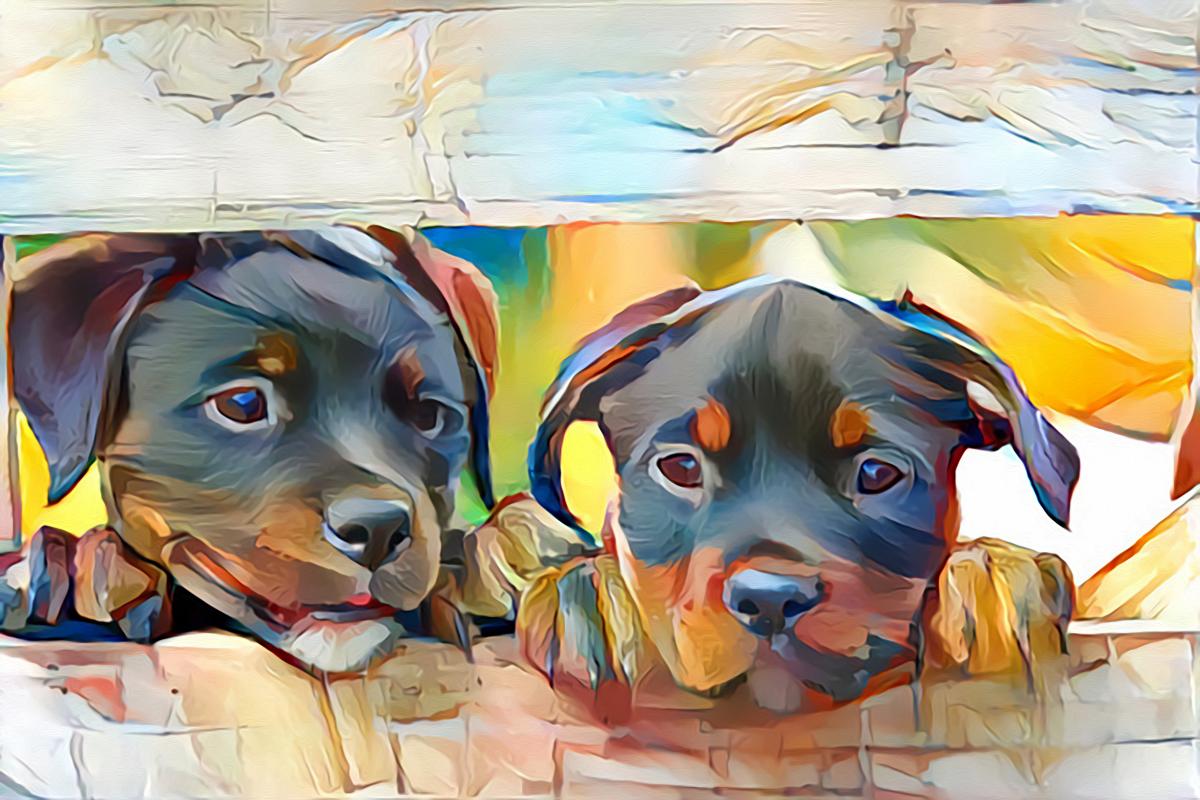 Digit-Oil Painted Country picture