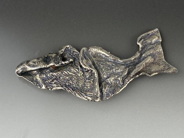 Reticulated whale