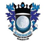 Silver Dollar Court