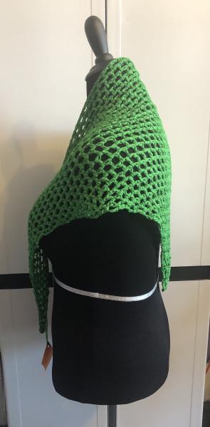 Woman's Shawl: Sooooooooo! Green Mesh picture