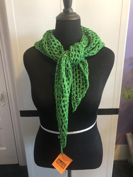 Woman's Shawl: Sooooooooo! Green Mesh picture