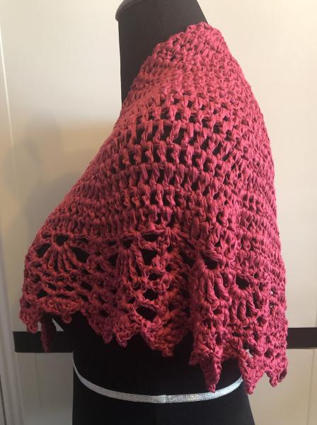 Soy Silk Cranberry Supreme Wrap picture