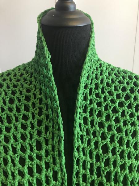 Woman's Shawl: Sooooooooo! Green Mesh picture