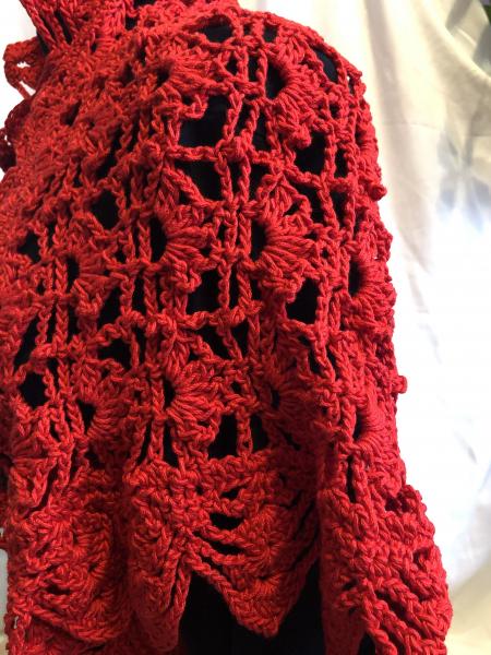 Shrug: Red Shell & Lace picture