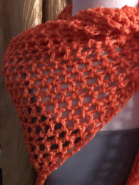 Shawl: Delightful Orange picture