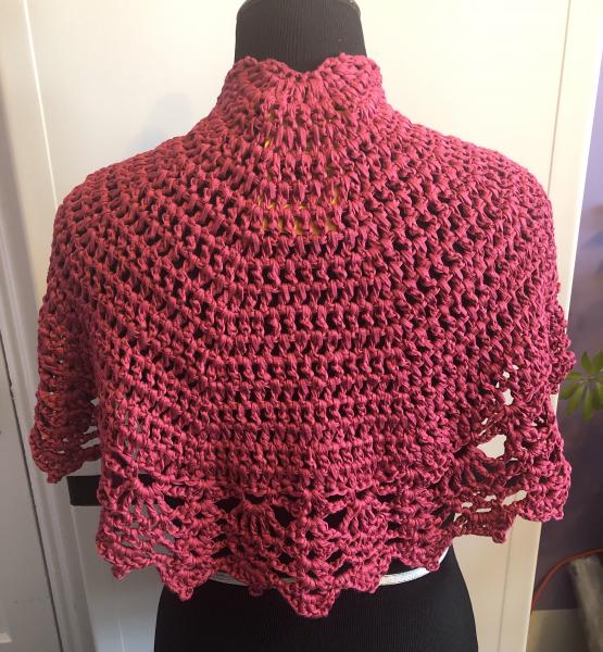 Soy Silk Cranberry Supreme Wrap picture