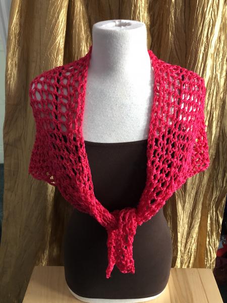 Shawl: Neon Pink Mesh picture