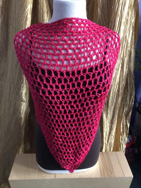 Shawl: Neon Pink Mesh picture