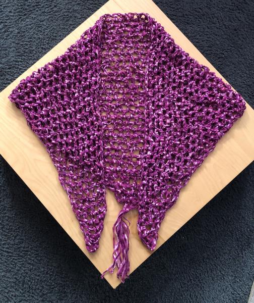 Shawl: Raspberry Ribbon picture