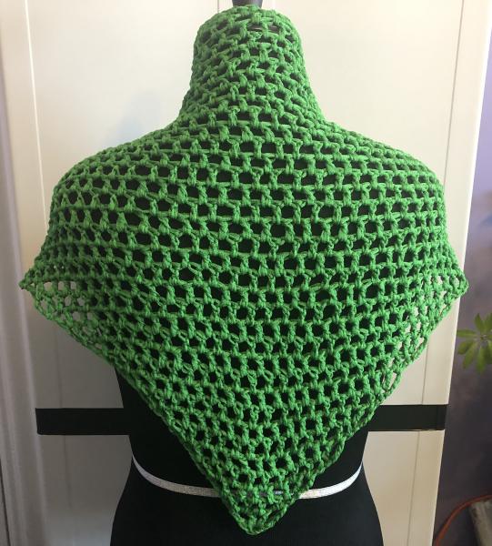 Woman's Shawl: Sooooooooo! Green Mesh picture