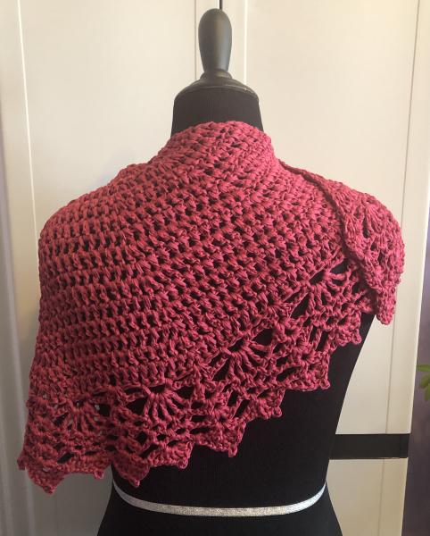 Soy Silk Cranberry Supreme Wrap picture